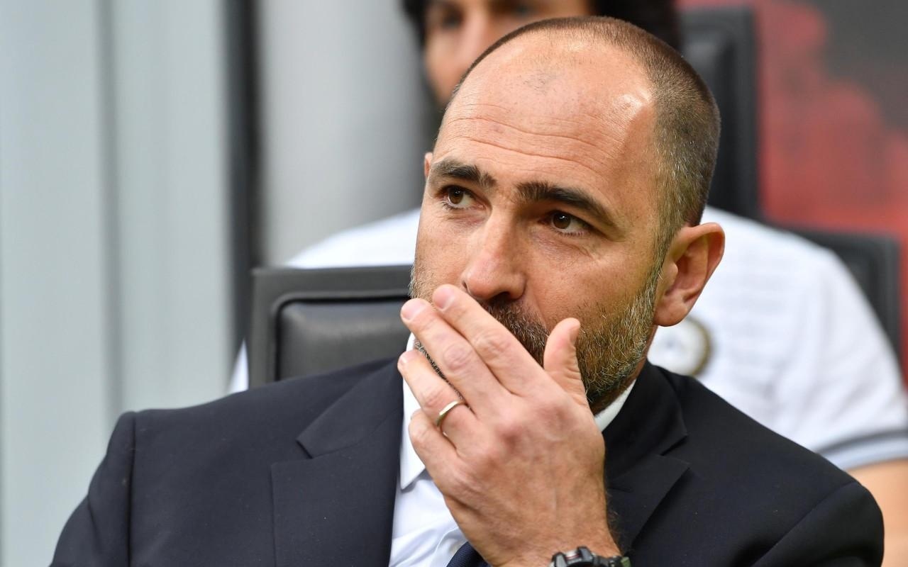 他们已经被 他们已经被